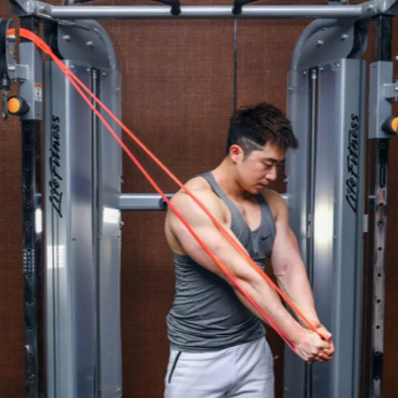 Premium Resistance Band - Heavy Duty Pull-Up & Strength Training Band